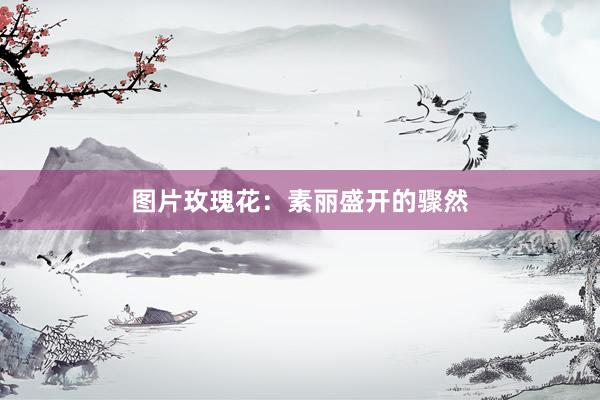 图片玫瑰花:素丽盛开的骤然