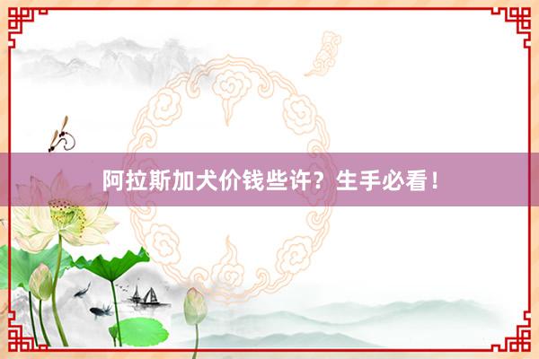 阿拉斯加犬价钱些许？生手必看！